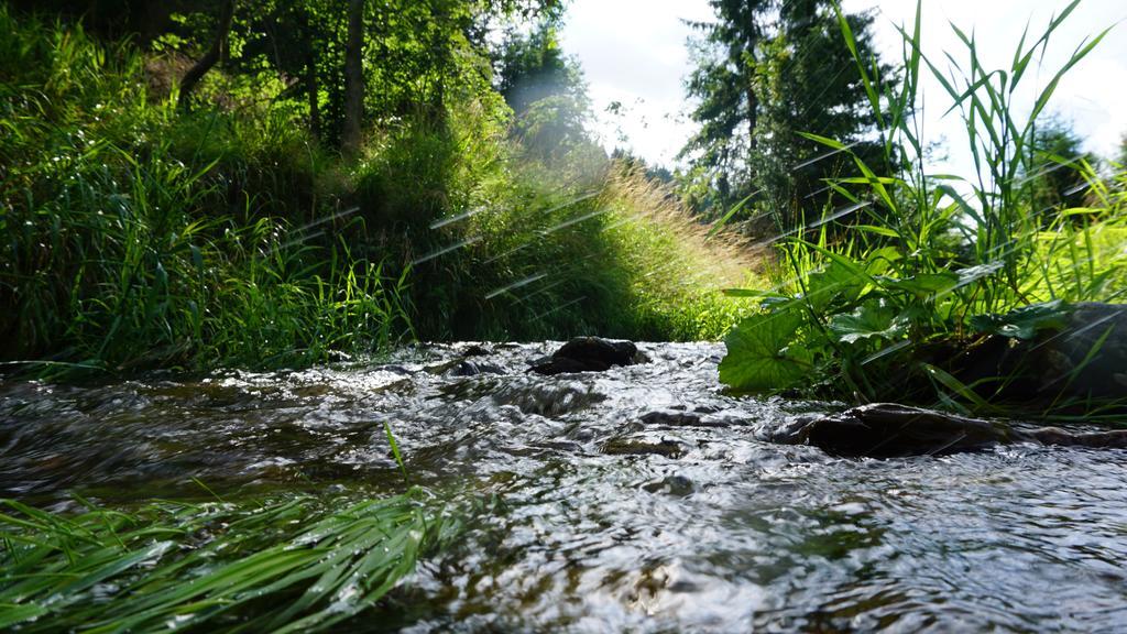 Hotel Beck Lauscha Bagian luar foto