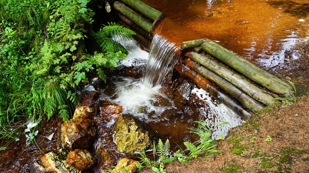 Hotel Beck Lauscha Bagian luar foto